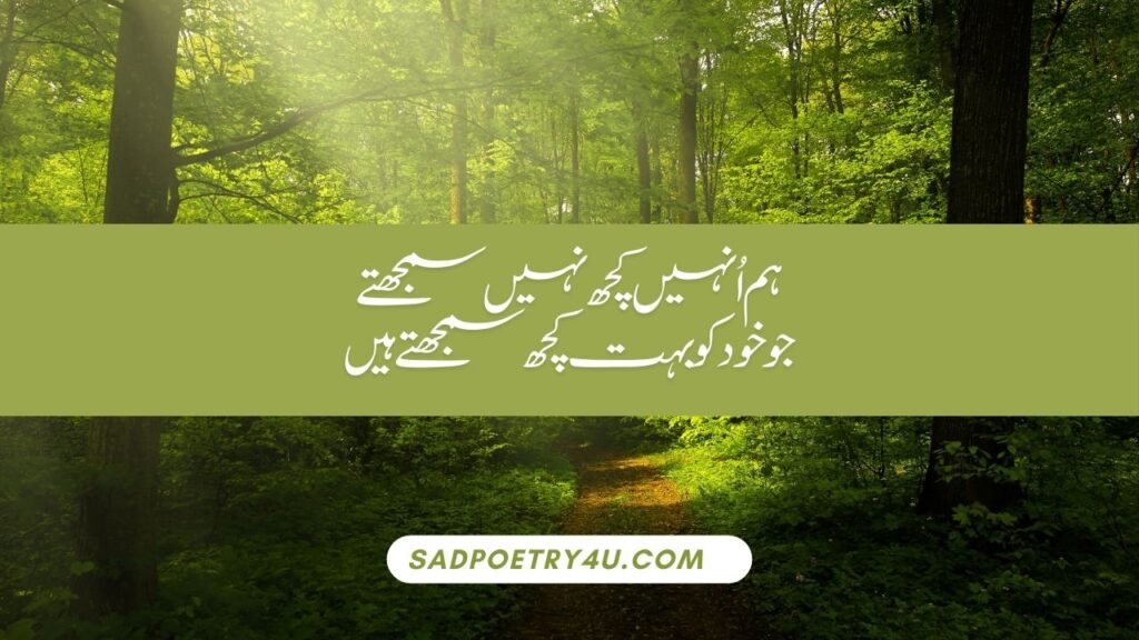 Attitude Poetry for Girl in Urdu
