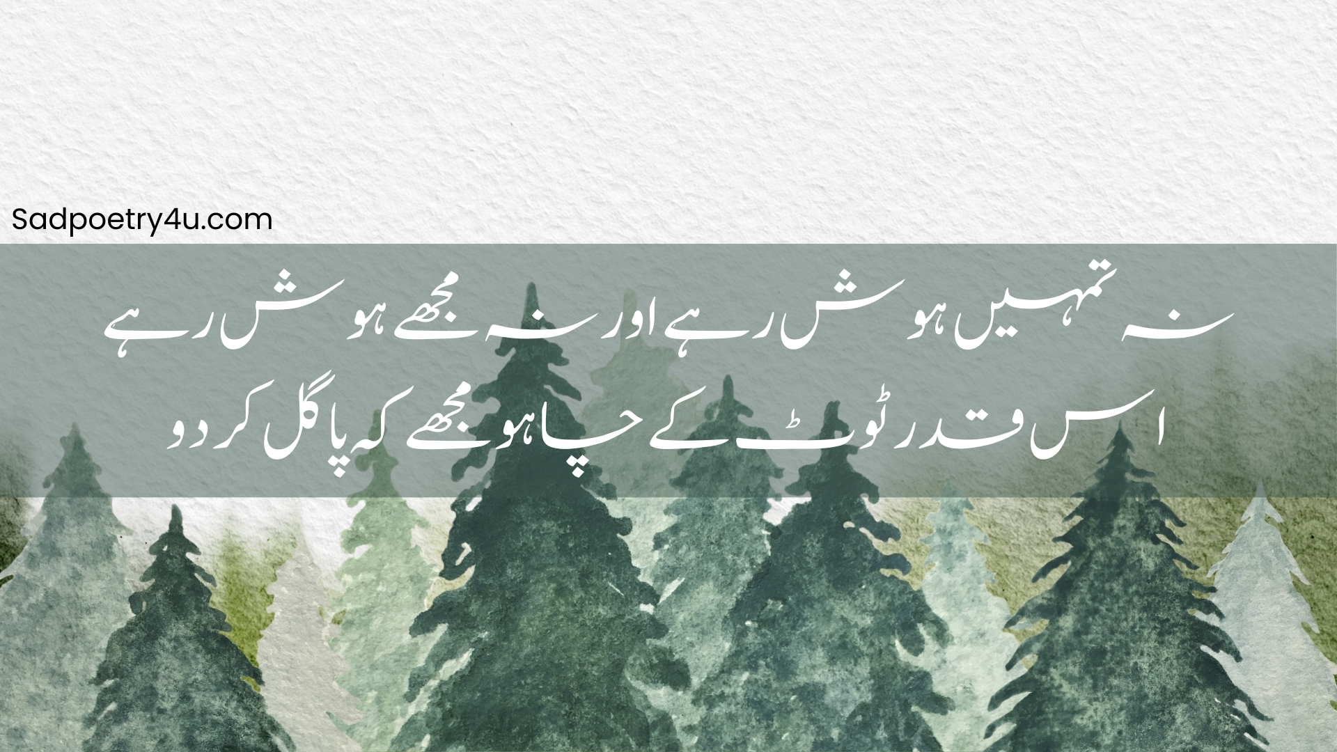 Love Poetry for Couple in Urdu