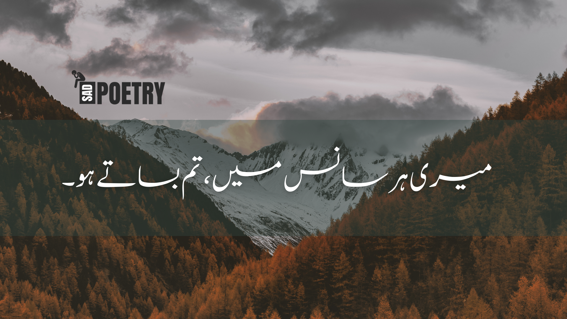 One Line Poetry in Urdu