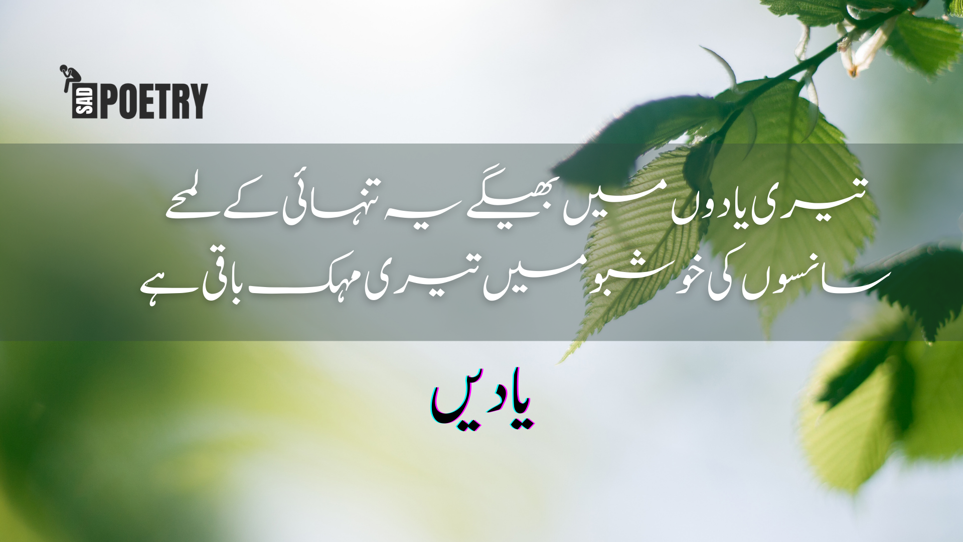 Yaad Poetry - Best Yaad Shayari in Urdu