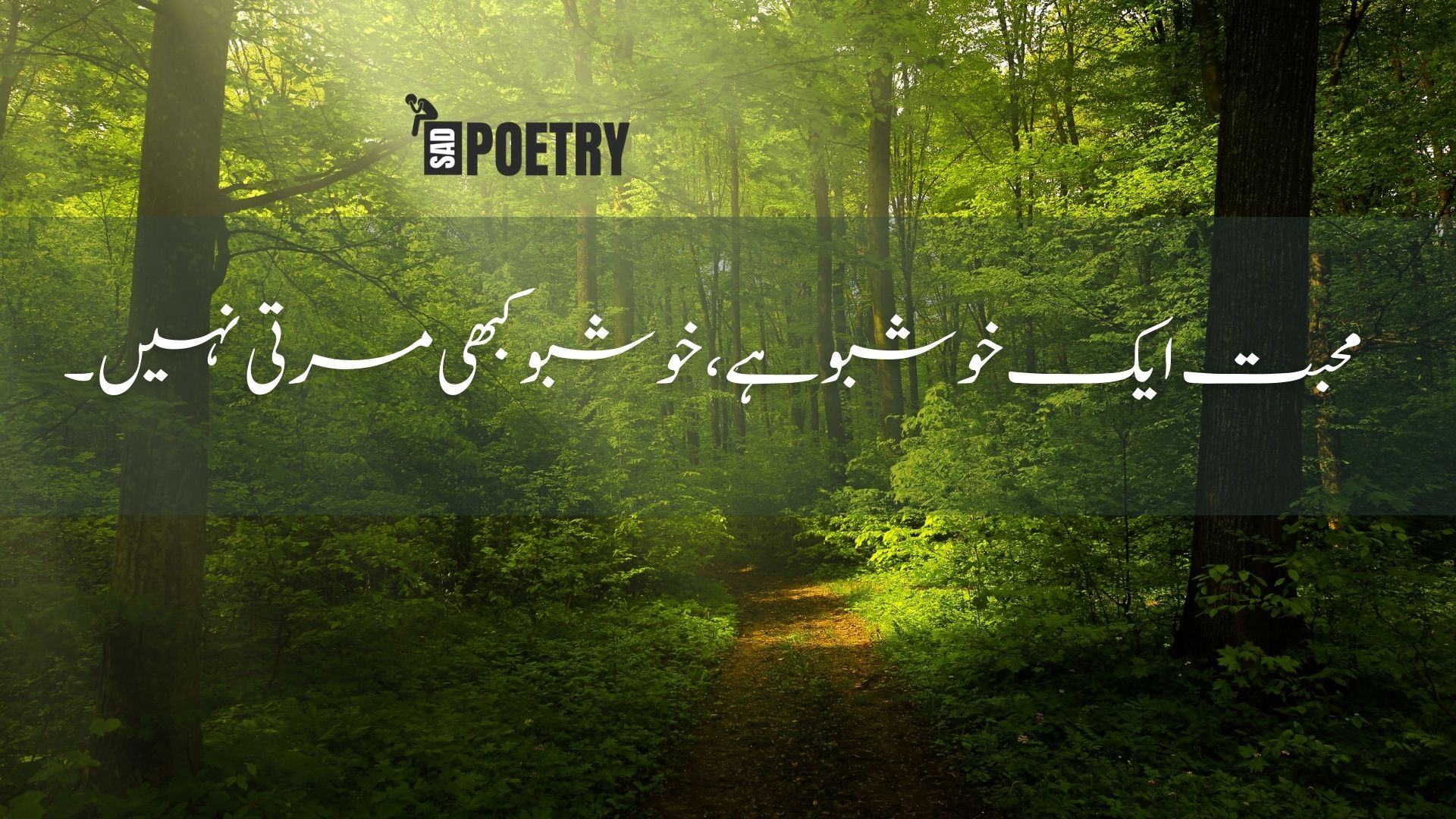 One Line Poetry in Urdu